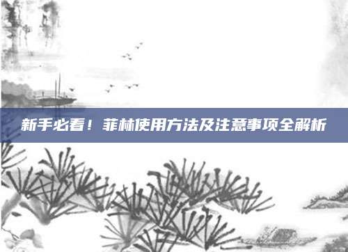 新手必看！菲林使用方法及注意事项全解析