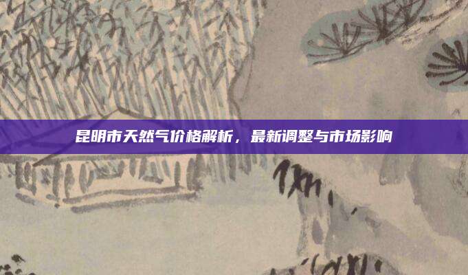 昆明市天然气价格解析，最新调整与市场影响