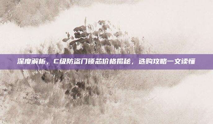 深度解析，C级防盗门锁芯价格揭秘，选购攻略一文读懂