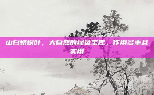 山白蜡树叶，大自然的绿色宝库，作用多重且实用