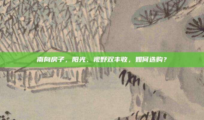 南向房子，阳光、视野双丰收，如何选购？