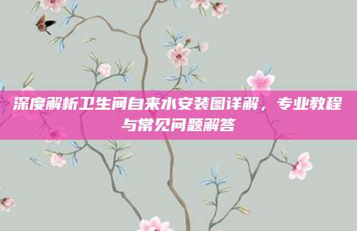 深度解析卫生间自来水安装图详解，专业教程与常见问题解答