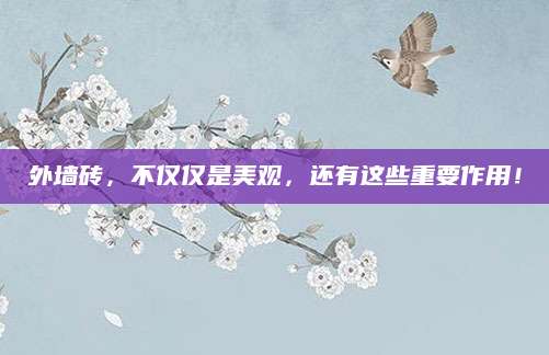 外墙砖，不仅仅是美观，还有这些重要作用！