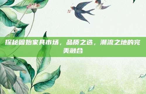 探秘固始家具市场，品质之选，潮流之地的完美融合