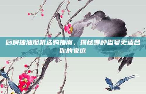 厨房抽油烟机选购指南，揭秘哪种型号更适合你的家庭