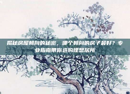揭秘房屋朝向的秘密，哪个朝向的房子最好？专业指南带你选购理想居所