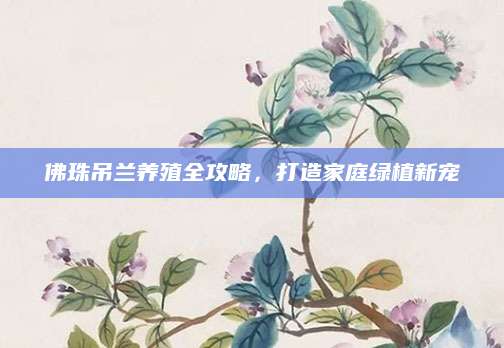 佛珠吊兰养殖全攻略，打造家庭绿植新宠