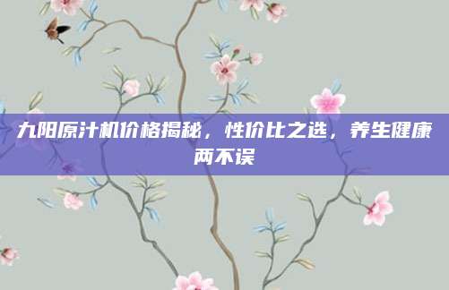 九阳原汁机价格揭秘，性价比之选，养生健康两不误