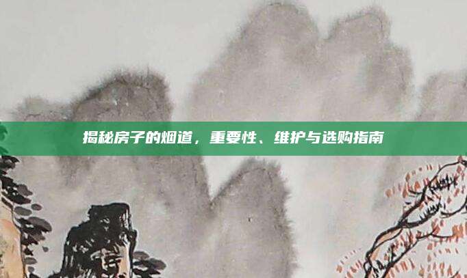 揭秘房子的烟道，重要性、维护与选购指南