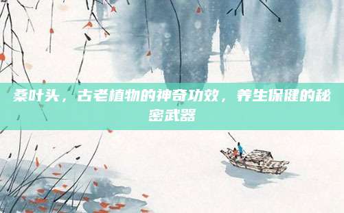 桑叶头，古老植物的神奇功效，养生保健的秘密武器