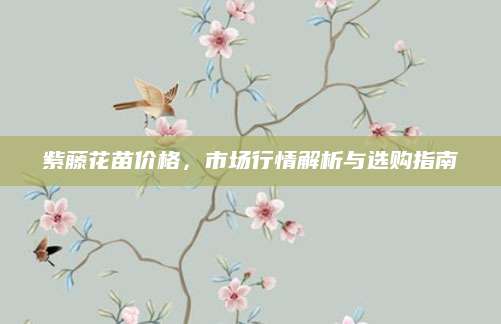 紫藤花苗价格，市场行情解析与选购指南