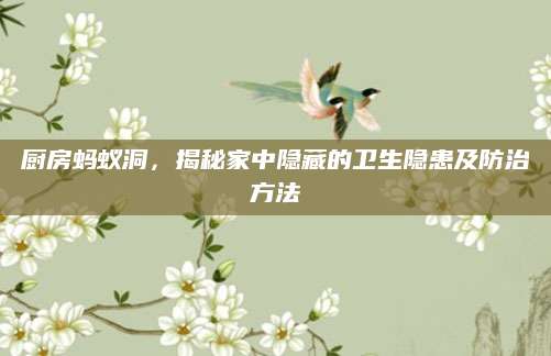 厨房蚂蚁洞，揭秘家中隐藏的卫生隐患及防治方法