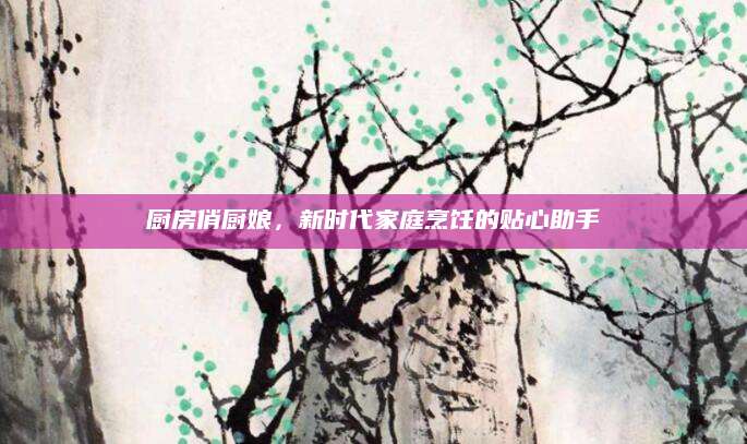 厨房俏厨娘，新时代家庭烹饪的贴心助手