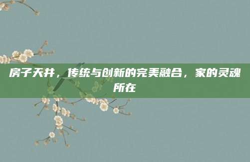 房子天井，传统与创新的完美融合，家的灵魂所在