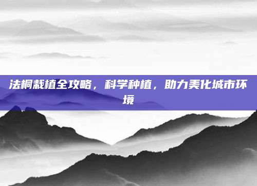 法桐栽植全攻略，科学种植，助力美化城市环境