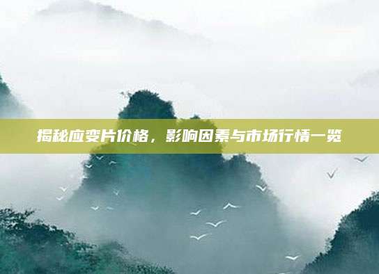 揭秘应变片价格，影响因素与市场行情一览