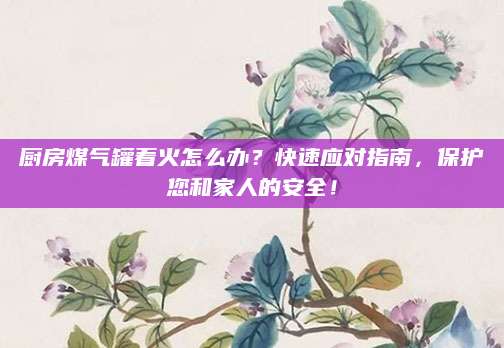 厨房煤气罐着火怎么办？快速应对指南，保护您和家人的安全！