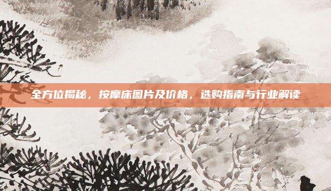 全方位揭秘，按摩床图片及价格，选购指南与行业解读