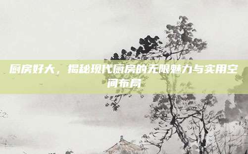 厨房好大，揭秘现代厨房的无限魅力与实用空间布局