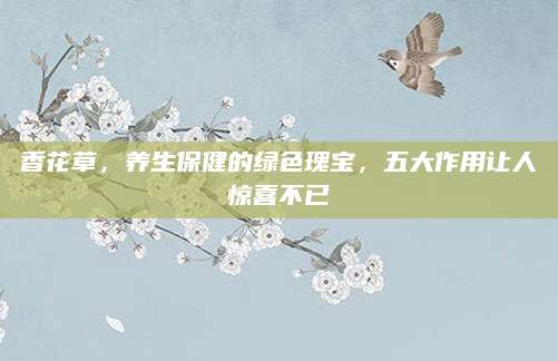 香花草，养生保健的绿色瑰宝，五大作用让人惊喜不已