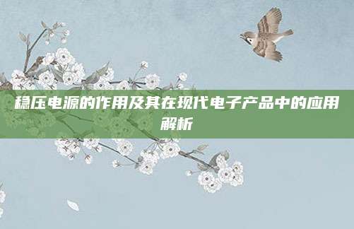 稳压电源的作用及其在现代电子产品中的应用解析
