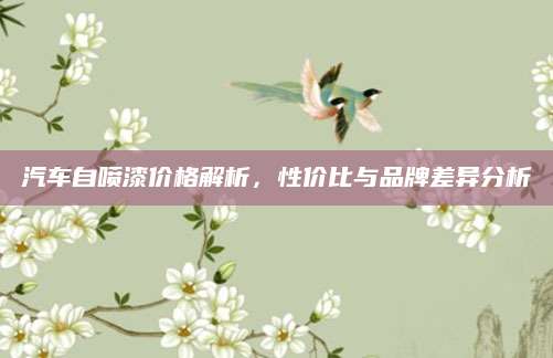 汽车自喷漆价格解析，性价比与品牌差异分析