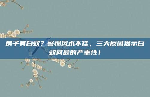 房子有白蚁？警惕风水不佳，三大原因揭示白蚁问题的严重性！