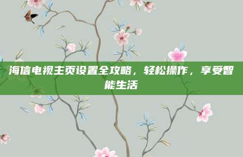 海信电视主页设置全攻略，轻松操作，享受智能生活