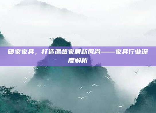 暖家家具，打造温馨家居新风尚——家具行业深度解析