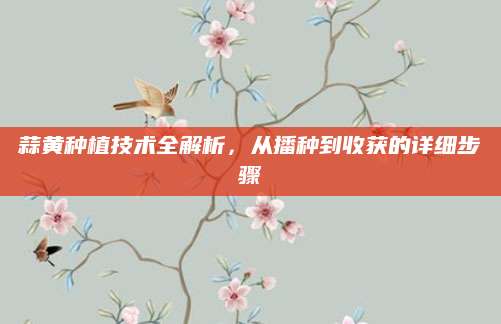 蒜黄种植技术全解析，从播种到收获的详细步骤