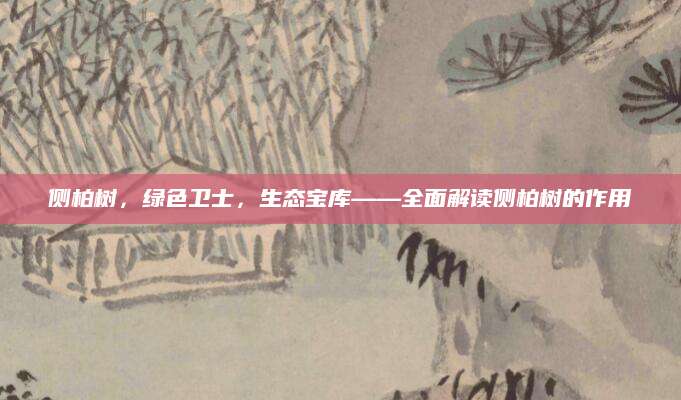 侧柏树，绿色卫士，生态宝库——全面解读侧柏树的作用