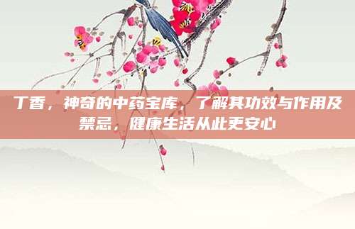 丁香，神奇的中药宝库，了解其功效与作用及禁忌，健康生活从此更安心