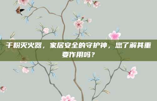 干粉灭火器，家居安全的守护神，您了解其重要作用吗？