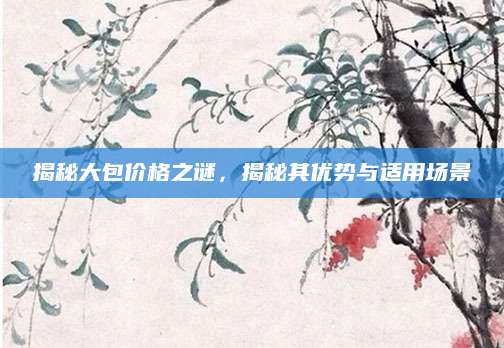 揭秘大包价格之谜，揭秘其优势与适用场景