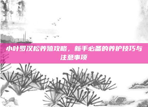 小叶罗汉松养殖攻略，新手必备的养护技巧与注意事项