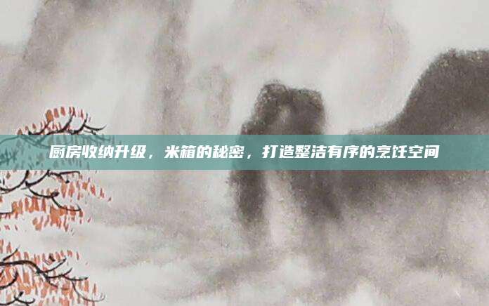 厨房收纳升级，米箱的秘密，打造整洁有序的烹饪空间