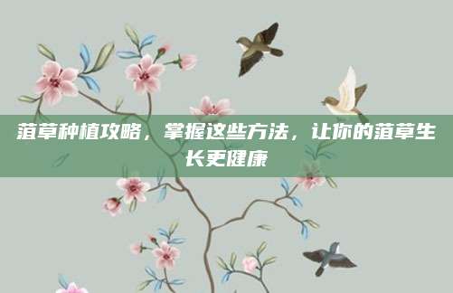 菹草种植攻略，掌握这些方法，让你的菹草生长更健康