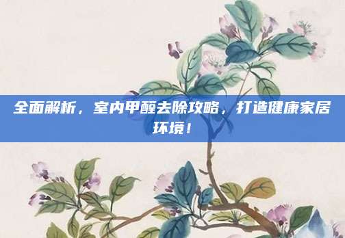 全面解析，室内甲醛去除攻略，打造健康家居环境！