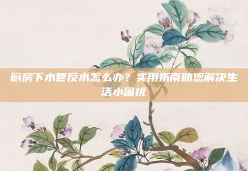 厨房下水管反水怎么办？实用指南助您解决生活小困扰