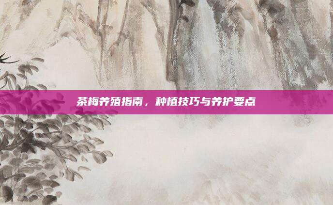 茶梅养殖指南，种植技巧与养护要点
