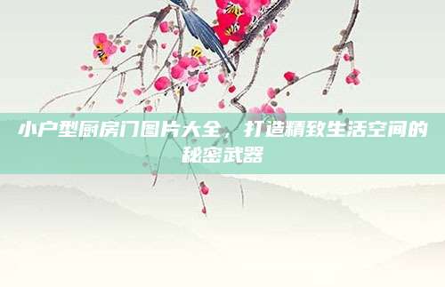 小户型厨房门图片大全，打造精致生活空间的秘密武器