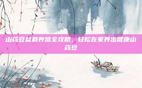 山药豆盆栽养殖全攻略，轻松在家养出健康山药豆