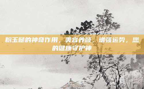 粉玉髓的神奇作用，美容养颜，增强运势，您的健康守护神