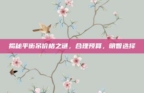 揭秘平衡吊价格之谜，合理预算，明智选择