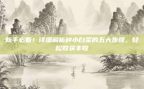 新手必看！详细解析种小白菜的五大步骤，轻松收获丰收