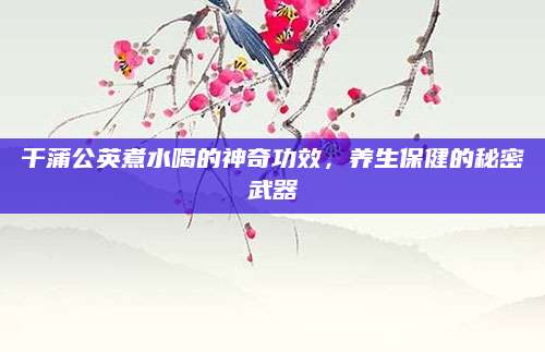 干蒲公英煮水喝的神奇功效，养生保健的秘密武器