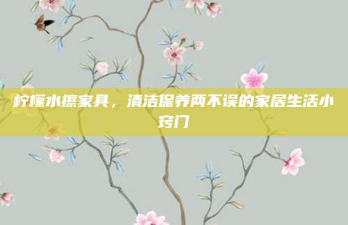 柠檬水擦家具，清洁保养两不误的家居生活小窍门