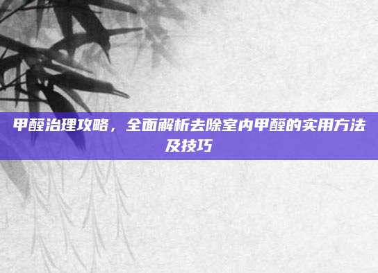 甲醛治理攻略，全面解析去除室内甲醛的实用方法及技巧