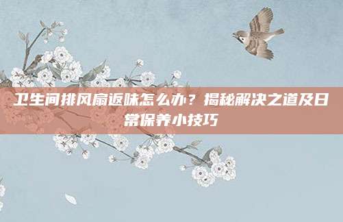 卫生间排风扇返味怎么办？揭秘解决之道及日常保养小技巧