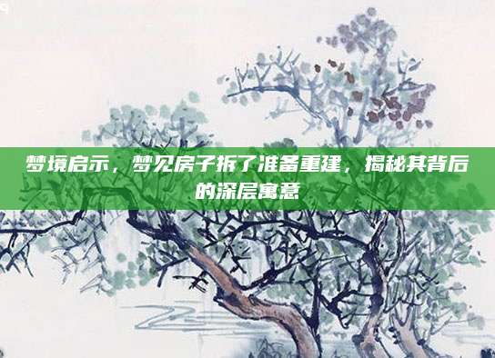 梦境启示，梦见房子拆了准备重建，揭秘其背后的深层寓意